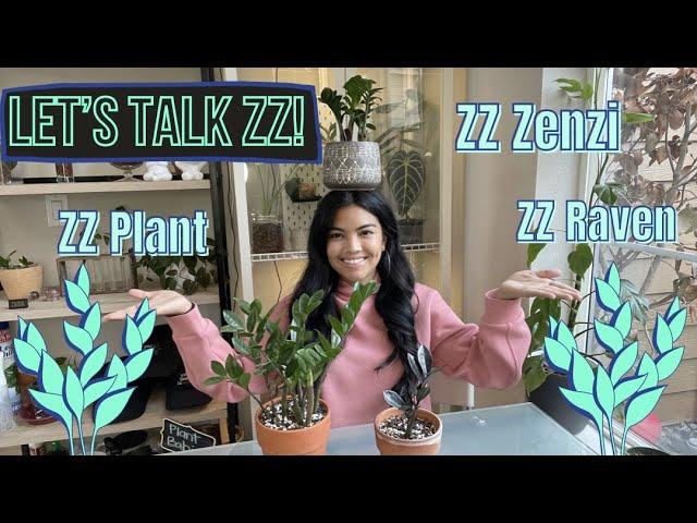 3 Types of ZZ Plants & Why I Love Them!