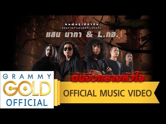 ต้นงิ้วกลางหัวใจ - แสน นากา และ L.กฮ. : คนพันธุ์เดียวกัน【OFFICIAL MV】