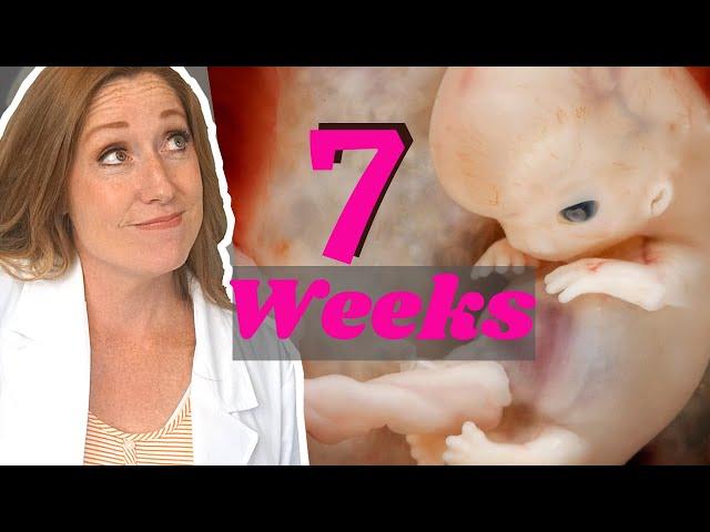 Week 7 of Pregnancy: PLUS General Dos and Don'ts During Pregnancy