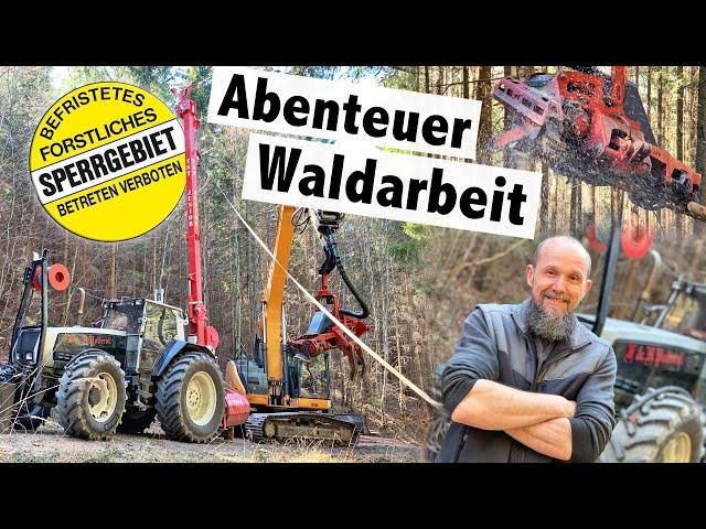 Holzernte mit Seilbahn | TST Junior und Bagger Prozessor Timbernator | Polleros Holztransporte