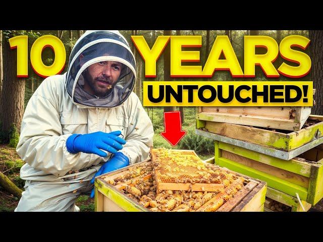 This Beehive Hasn't Been Opened In 10 Years...Until NOW!