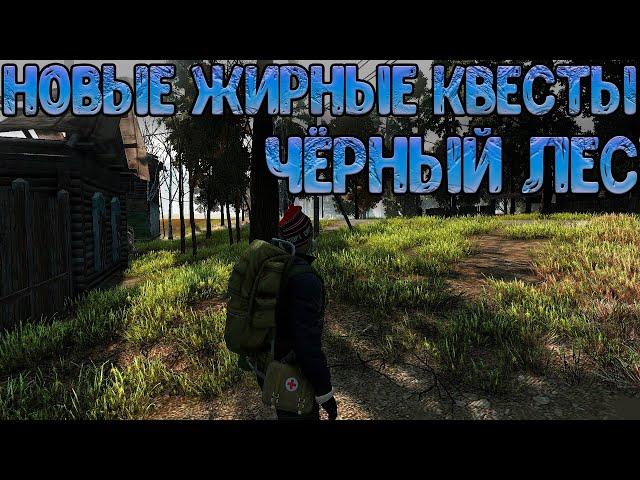 Репутация Чёрный Лес (Stalker Online/Stay Out)