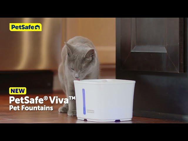 Upgrade Your Pet's Hydration with PetSafe® Viva™ Pet Fountain