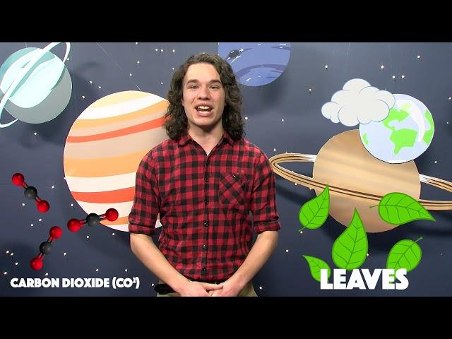 Where Does Our Air Come From? | 30 Seconds of Science