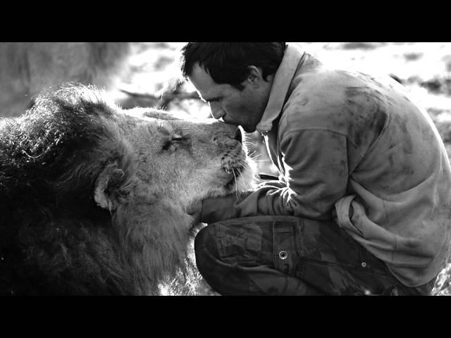 Reunion - Baptiste Guilbaud