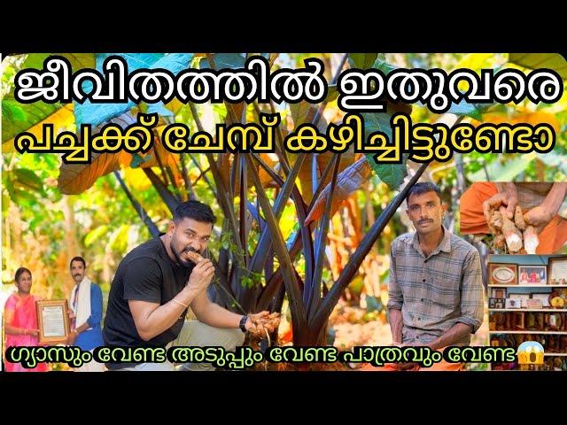 ജീവിതത്തിൽ നിങ്ങൾ എപ്പോഴെങ്കിലും പച്ചക്ക് ചേമ്പ് കഴിച്ചിട്ടുണ്ടോ⁉️വിശന്നാൽ ഞാൻ ഞാൻ അല്ലാതാവും.