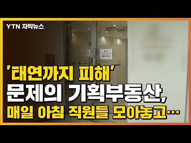 [자막뉴스] '태연까지 피해' 문제의 기획부동산, 매일 아침 직원들 모아놓고... / YTN