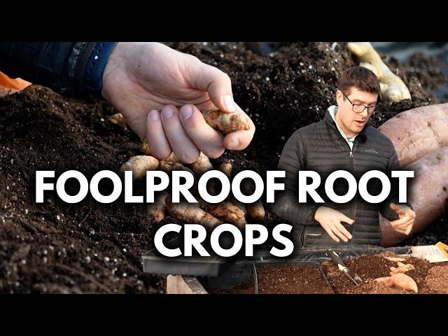 Start These 3 Root Crops Right NOW in February and March