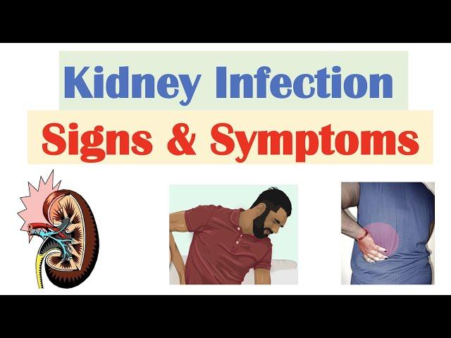 Kidney Infection (Pyelonephritis) Signs & Symptoms | & Why They Occur