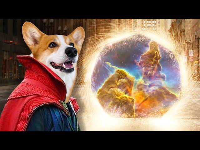 Hammy and Olivia Face Off with Dinosaurs from the Multiverse 