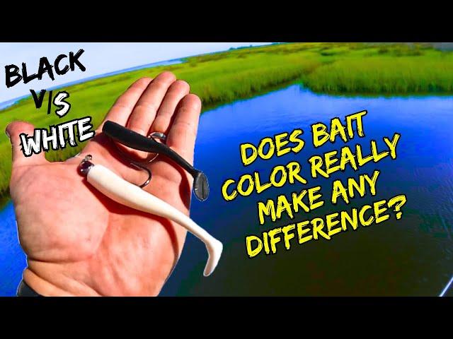 Does *BAIT COLOR* really matter? The Ultimate Test! BLACK vs WHITE! Shocking Results!