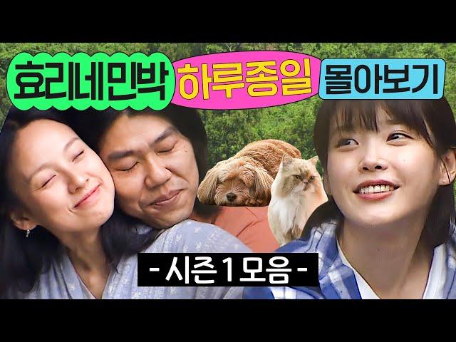 ⭐8시간⭐ ≪효리네 민박 시즌 1≫ 1화부터 마지막 화까지 몰아보기｜효리네 민박｜JTBC 170924 방송 외