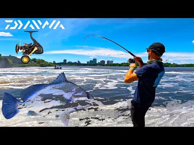 BIG Freshwater Drums caught on Lures from Shore! Best Fishing Day Ever in Canada [New Species]