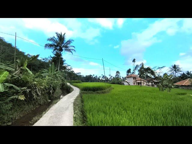 Takjub ⁉️Rumah- Rumah Cantik Tengah Sawah Yang Indah, Warganya Ramah,Adem pisan, Pedesaan Jawa Barat