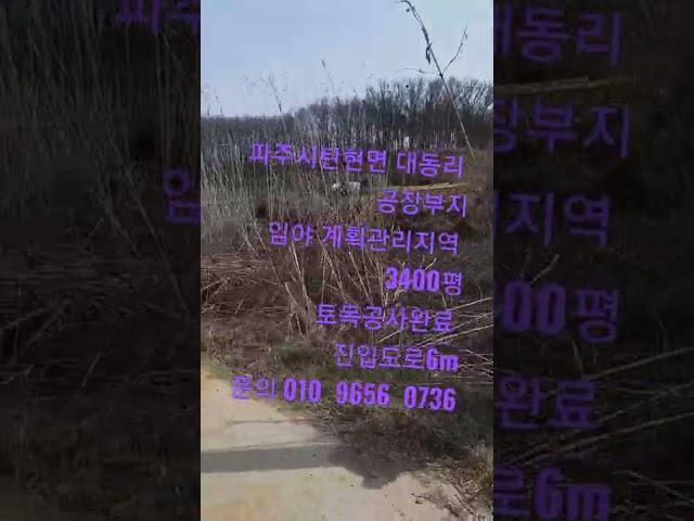 파주시탄현면 대동리 공장부지   계획관리 토목공사완료  투자굿! 공장허가득! 민원무 약2600평 시세대비아주저렴! 매매가 41억 문의010  9656  0736