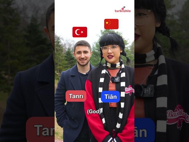  Chinese vs Turkish 