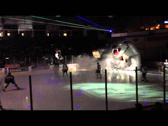 Brampton Beast Hockey
