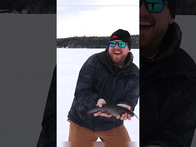 #fishing #icefishing #hardwaterfishing #icefish #trout #browntrout