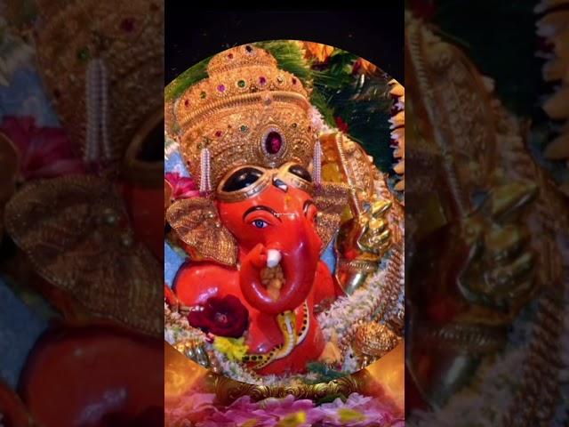 Sankashti Chaturthi October 2024||Sankashti Chaturthi Whatsapp Status#sankashtichaturthi#shorts