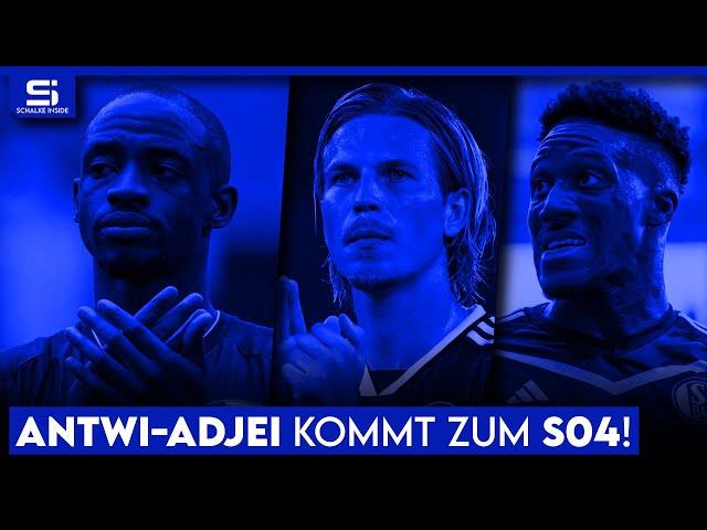 Schalke holt Antwi-Adjei! Neuzugang aus der Schweiz? Lasme & Tempelmann bleiben! | S04 NEWS