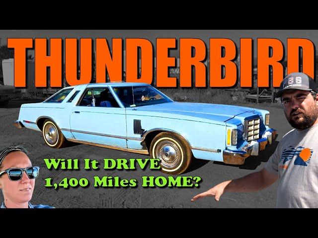 Will This LAND YACHT Thunderbird Drive 1400 Miles Home?