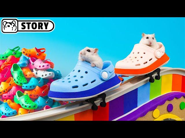 Hamsters in the Crocs Shoe Factory Maze  Homura Ham