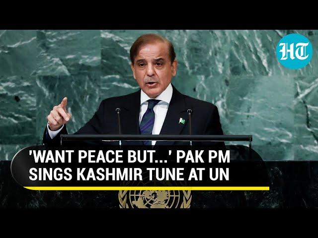 'India's ruthless...': Pak PM rakes up Kashmir at UN; Makes conditional peace offer to Delhi