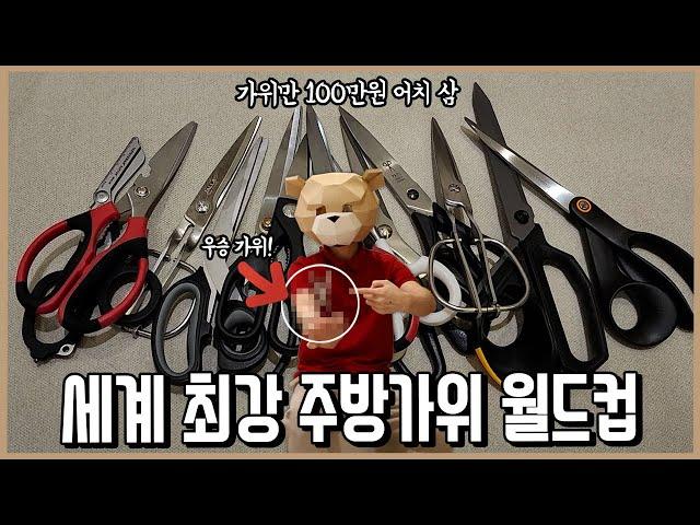 반전의 반전! 5개월간의 검증을 거쳐 찾은 세계 최고의 가위ㅣ내돈내산