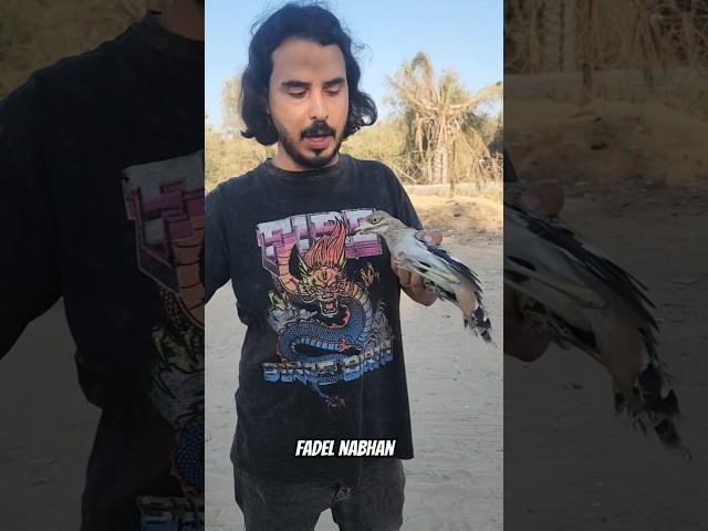اطلاق سراح طائر الكروان في غزة