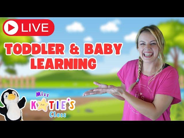 24/7 Toddler & Baby Learning Livestream - Kids Songs & Nursery Rhymes - Miss Katie