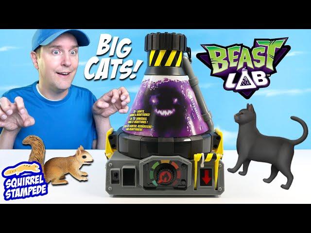 Beast LAB Stealth Strike Cat out of the Box Experiment Kit Squirrel Stampede Review
