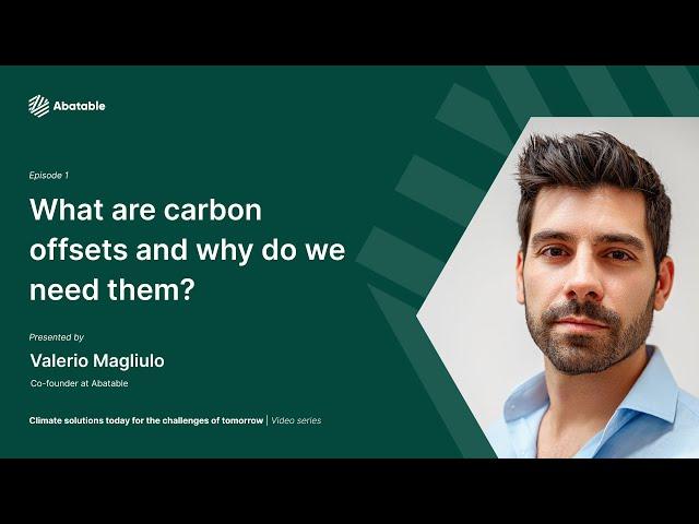 What are carbon offsets and how they can be an effective climate tool? - Abatable