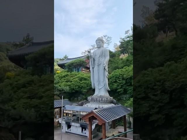 회향ㅡ법능스님