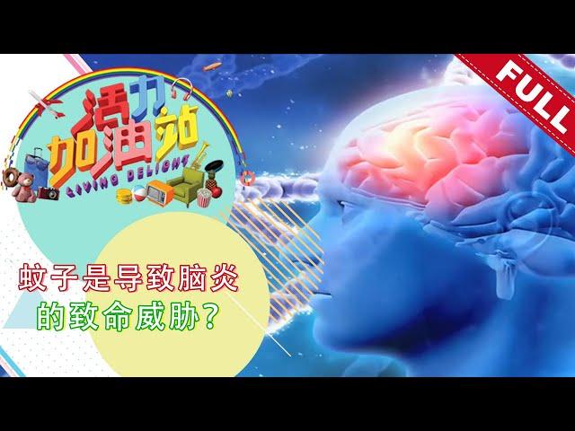 活力加油站 Living Delight (2021) | 2021年12月15日: 蚊子是导致脑炎的致命威胁？