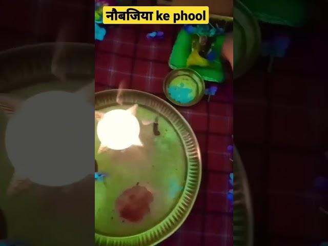 ️#shorts#viral #trending #youtubeshorts #shortsfeed #ytshorts #amitayashuvlog