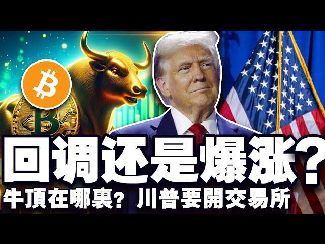 中媒评美国比特币战略储备；牛市还没见顶；川普密谈 Coinbase；a16z 2024加密报告；巴西 CBDC 试点 20241120