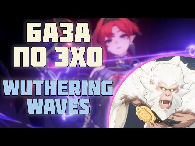 Собери их Всех! База по ЭХО в Wuthering Waves.