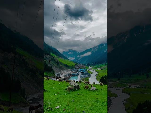 The Beautiful kashmir @Vijendra.choudhary.   #kashmir #nature #vellylogs #jammukashmir #tourist