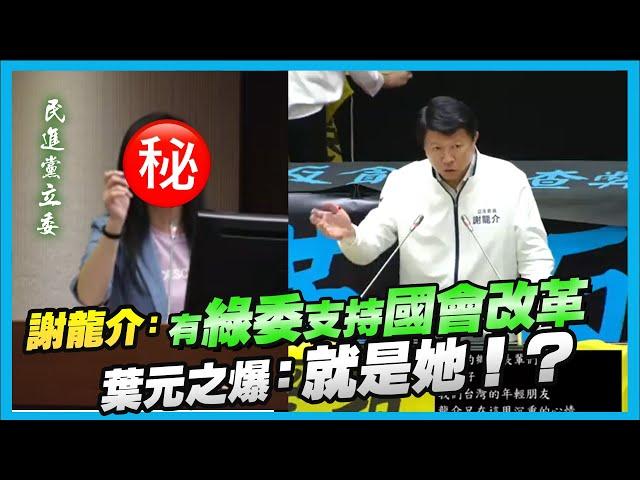 謝龍介：有綠委支持國會改革。葉元之爆：就是她！？