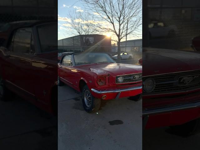 What's going on with OUR 1965 Ford Mustang‼️ | Muscle Car Concepts and Restorations