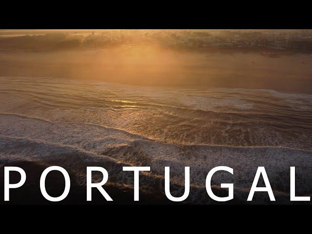 Серфинг в Португалии. Surfivor