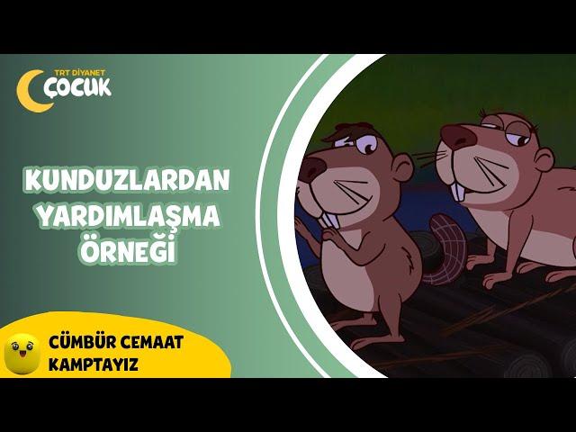 Kunduzların Yardımlaşma Örneği - Cümbür Cemaat Kamptayız