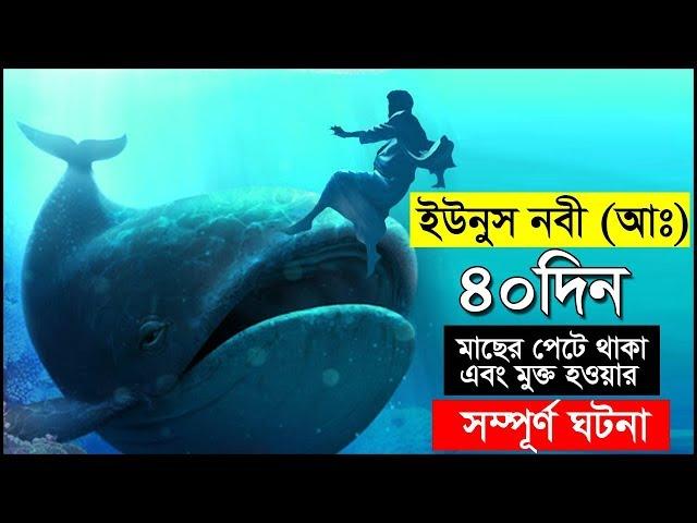 হযরত ইউনুস নবীর ৪০দিন মাছের পেটে থাকার সম্পূর্ণ ঘটনা । এবং মুক্ত হওয়ার অলৌকিক কাহিনী | Hazrat Yunus