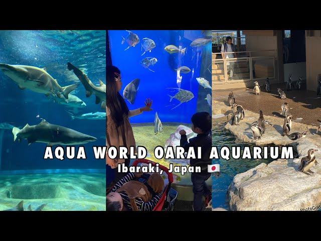 AQUA WORLD OARAI AQUARIUM | Oarai Ibaraki, Japan 