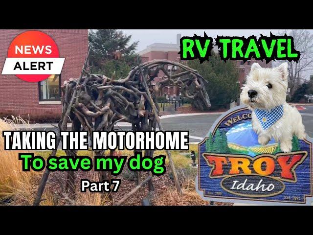 From Washington State University VeterinaryTeaching Hospital to Troy in IDAHO #RVtravel #Dogs