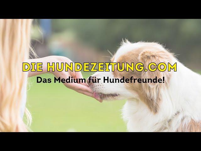 Kanaltrailer ⎮diehundezeitung.com