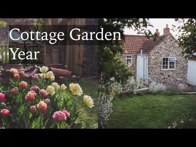 A Year from my Cottage Garden - Watch the Seasons Change and Reflect on the Year