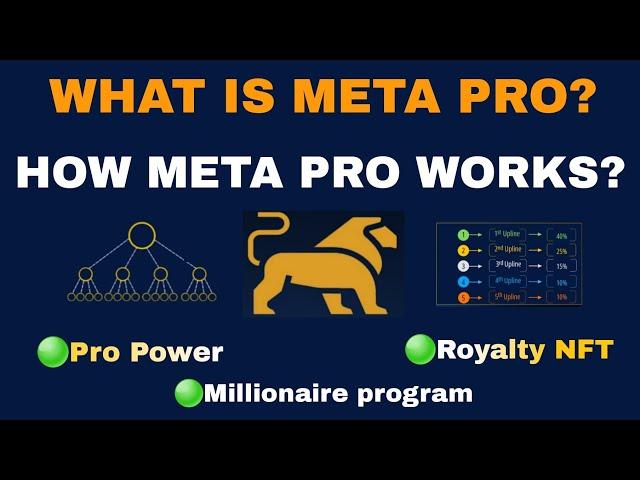 Full Explanation on how Meta Pro works