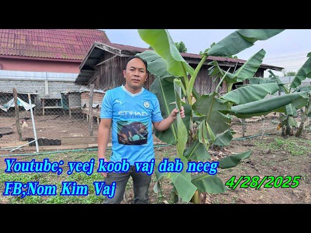 Tseem khuv xim koj tshaj plaws kuv tu me qub txiv tu neeg siab zoo 4/28/2025