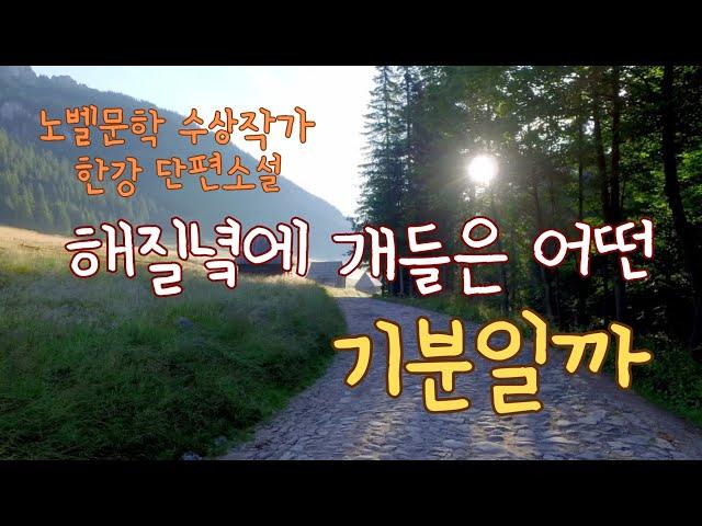 노벨문학상 한강작가 |단편소설| 해질녘에 개들은 어떤 기분일까 |오디오북